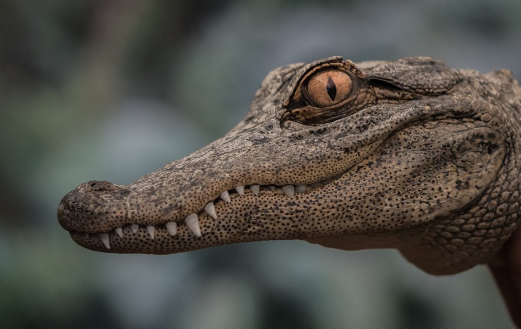 A Smile For You  - Randy Bryan