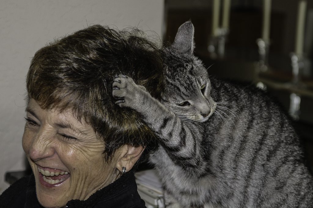 Mind Meld - George Peterson