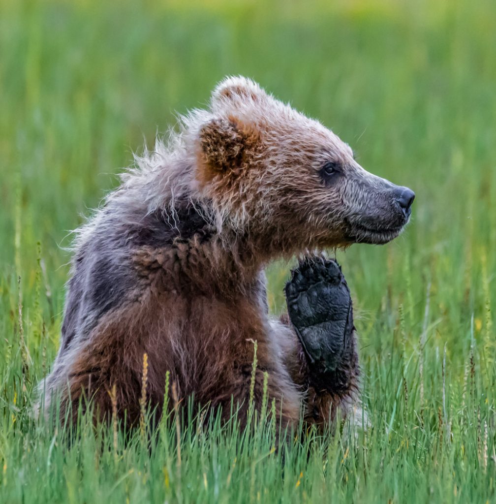 Kicking Back - Jeff Thompson