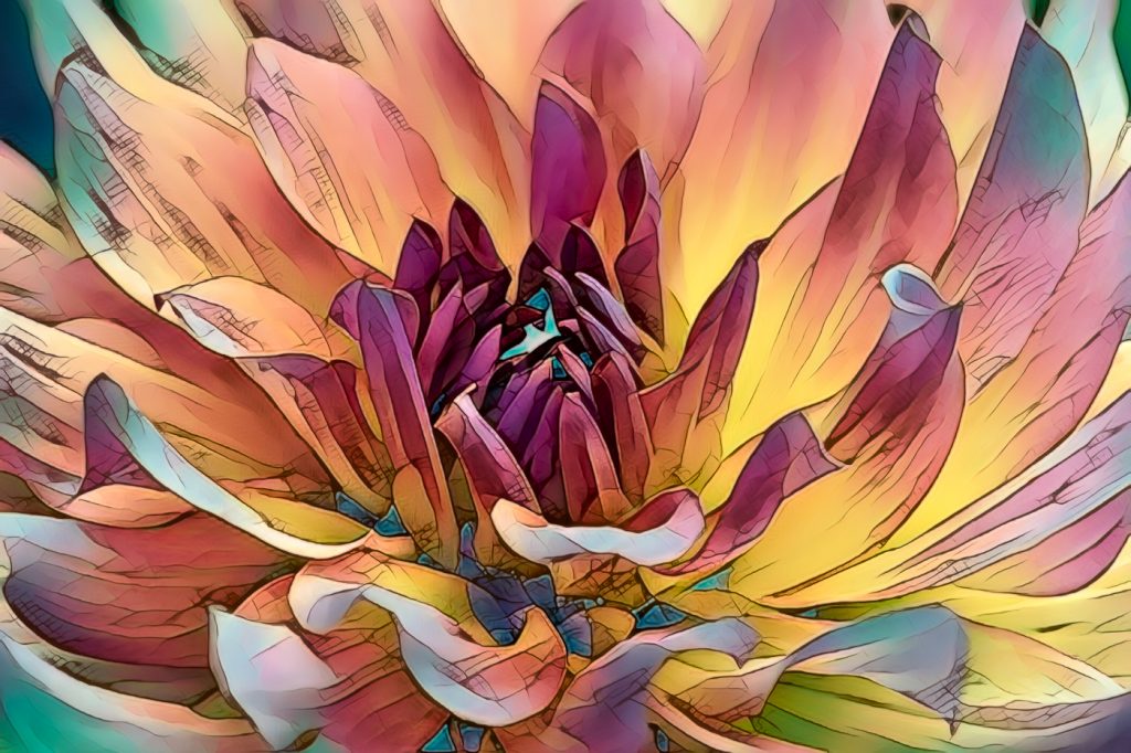 Crazy Dahlia - Alana Starkweather